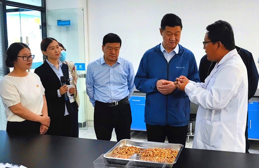 甘肅省地方金融監(jiān)管局、甘肅證監(jiān)局領導蒞臨敦煌種業(yè)調研指導